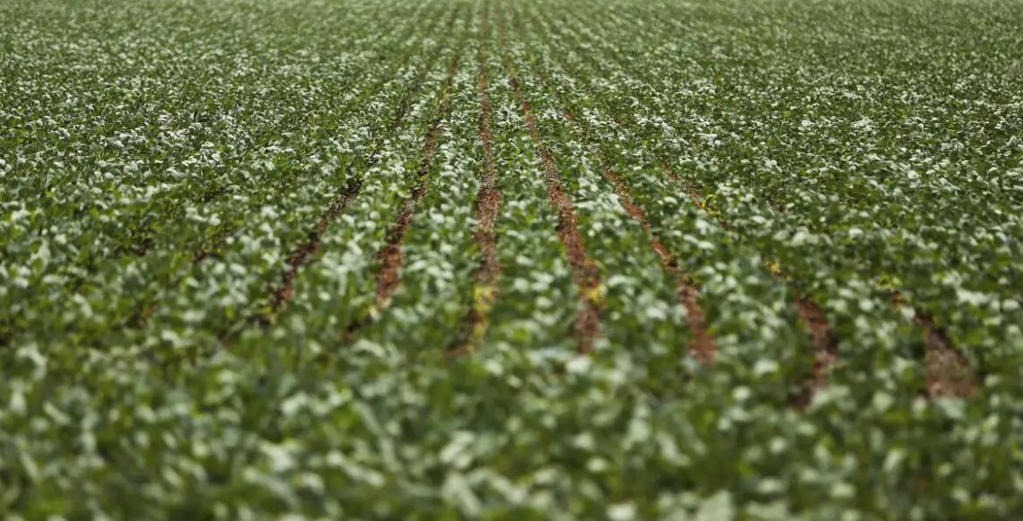 Entenda impasse entre bancada do agro e governo brasileiro sobre dívidas rurais