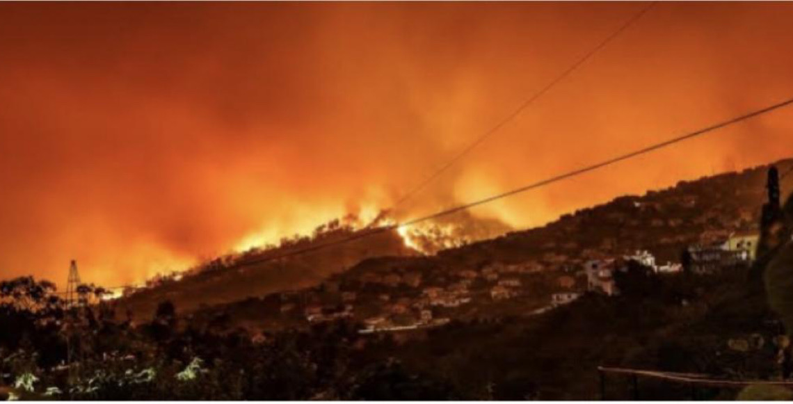 Área queimada por incêndios florestais em Portugal quase quadruplica em termos anuais devido ao calor extremo