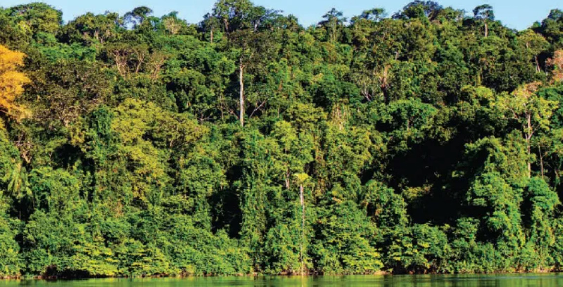 Amazônia tem menor índice de desmatamento para o 1º semestre em uma década