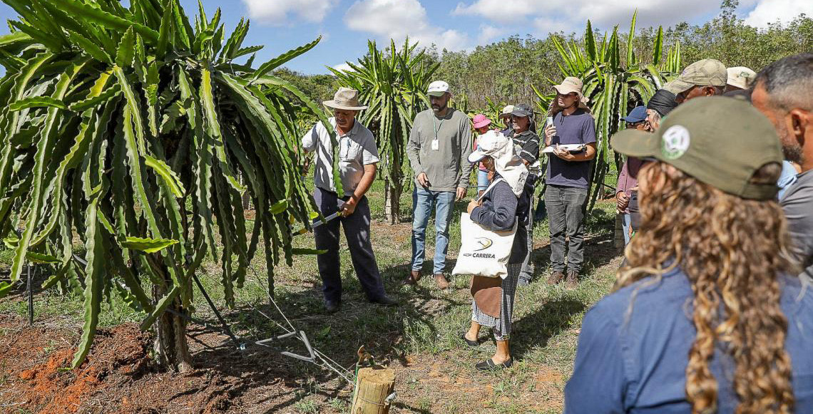 Saiba como funciona assistência técnica e extensão rural gratuita para produtores no DF