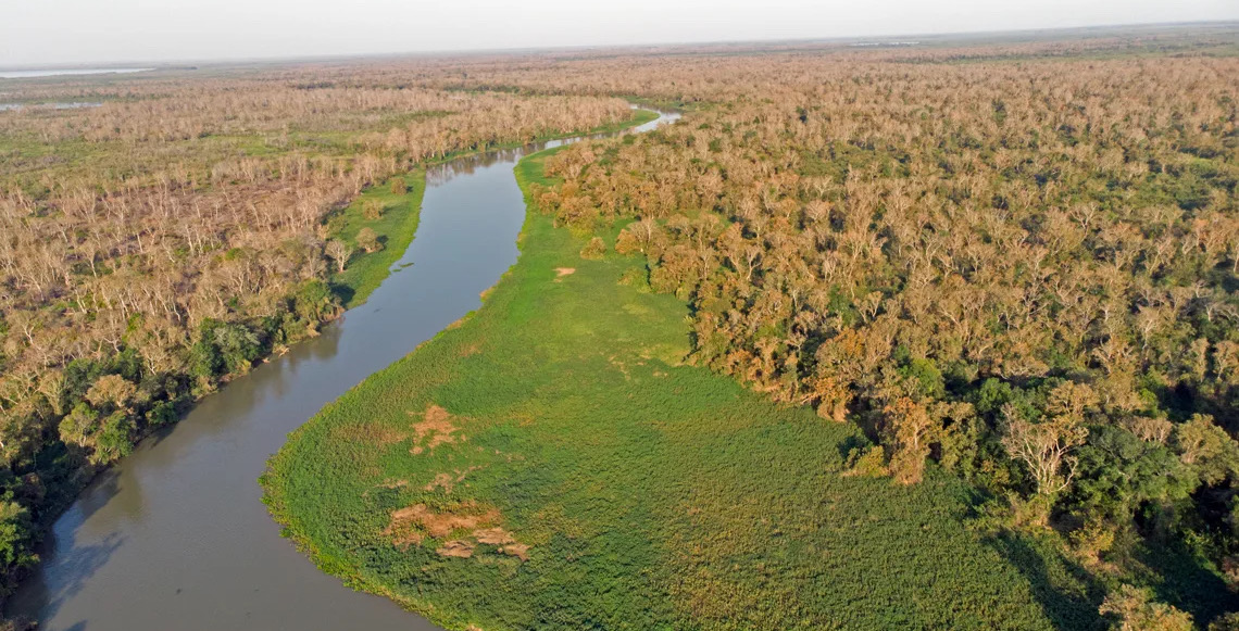 Pantanal perdeu 80% das águas superficiais em 38 anos e incêndios severos disparam