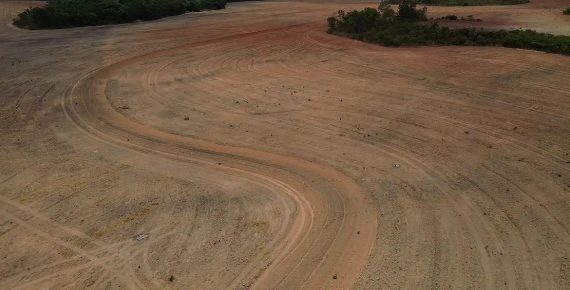 Fim da Moratória da Soja pode ampliar destruição da Amazônia