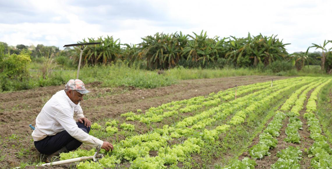 Ocupa uma área rural no Distrito Federal? Saiba como solicitar a regularização fundiária