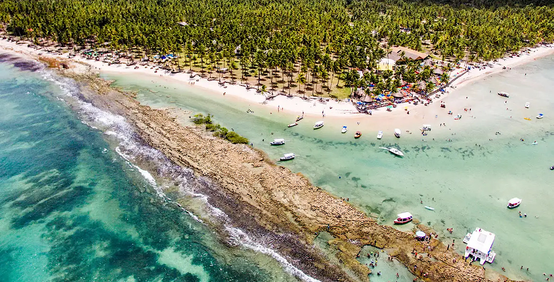 Barulho de barco e de turistas afeta comunicação de peixes, diz estudo 