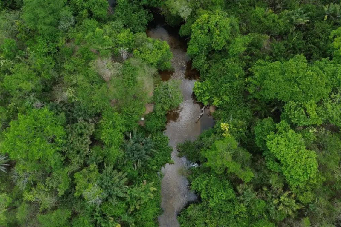 Área queimada no Brasil fica 31% abaixo da média histórica em 2025, Amazônia registra menor área