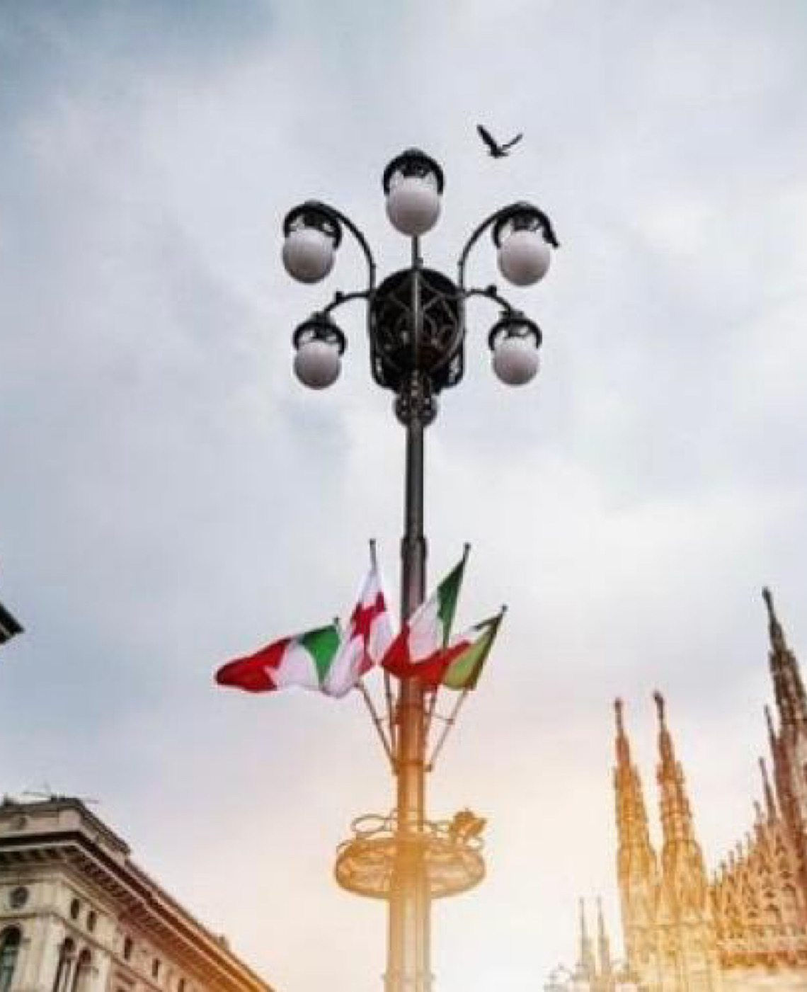 Brasileiros redescobrem raízes italianas e transformam a busca pela cidadania