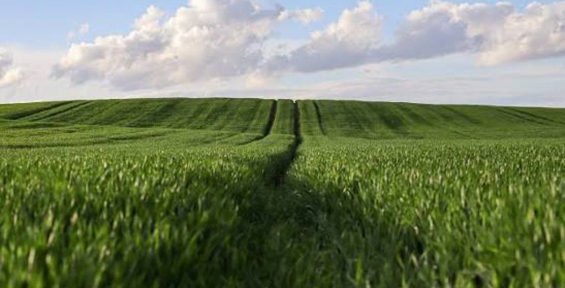 Conselho  Monetário Nacional regulamenta linha de R$ 10 bilhões para aquisição de máquinas agrícolas