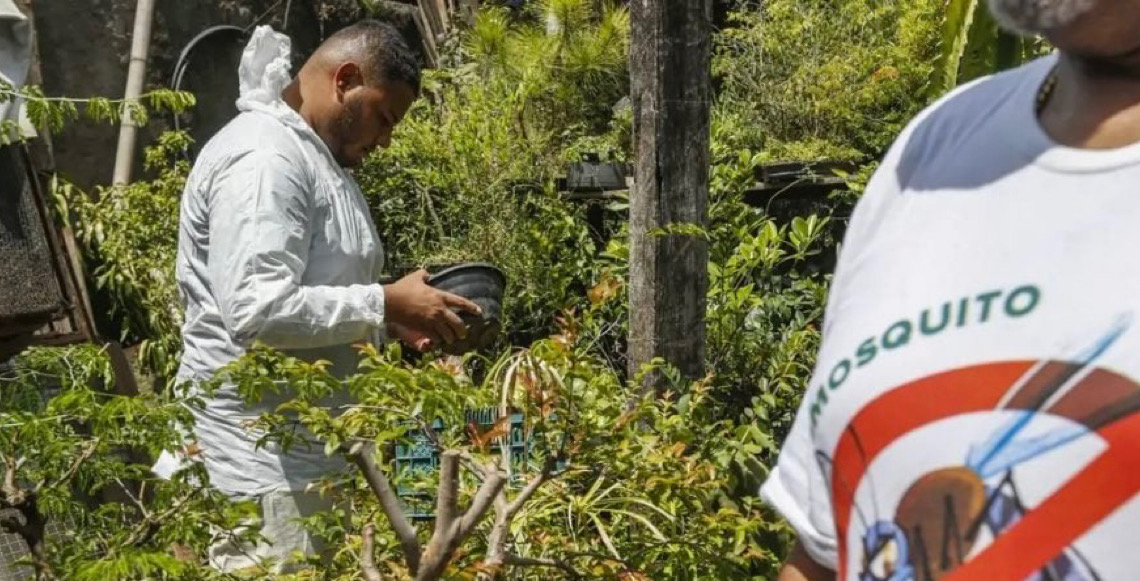 El Niño pode aumentar casos de chikungunya e dengue no Brasil