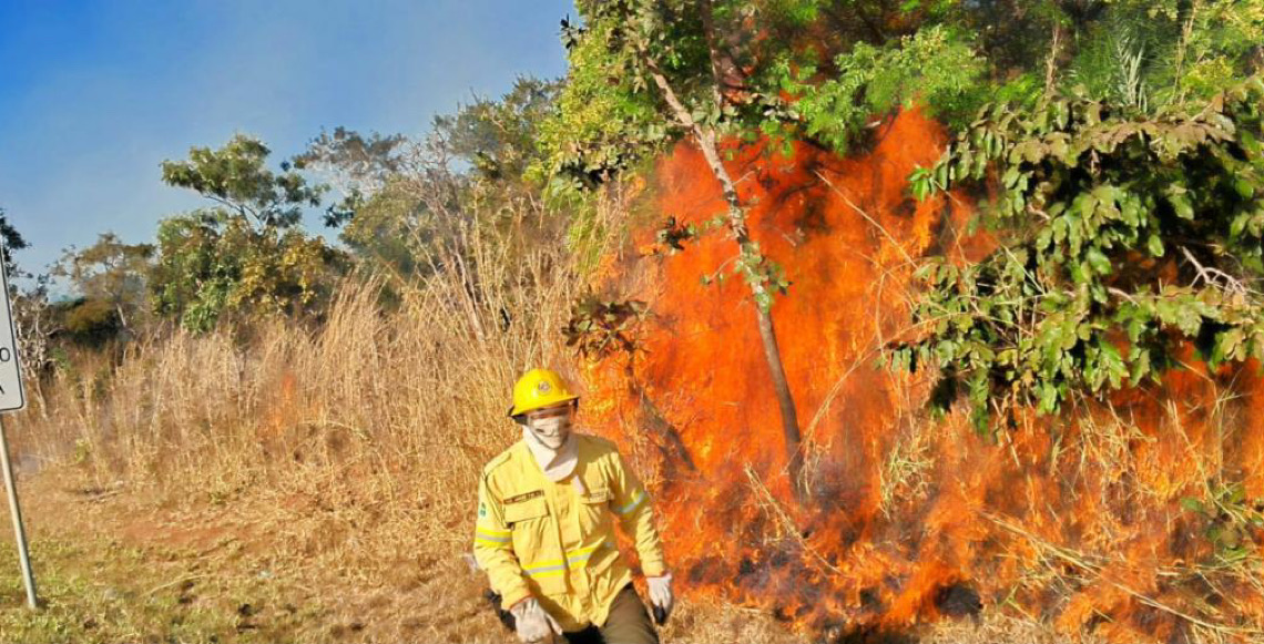 Queima de lixo e vegetação é crime ambiental e eleva risco de incêndio durante o período de seca