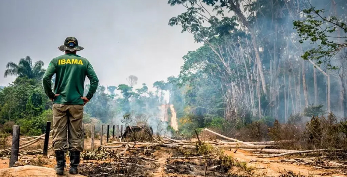 Alertas de desmatamento na amazônia caem ao menor patamar da série histórica