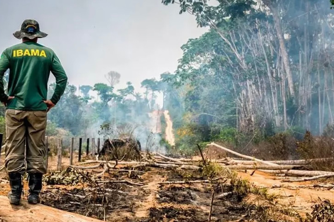 Alertas de desmatamento na amazônia caem ao menor patamar da série histórica