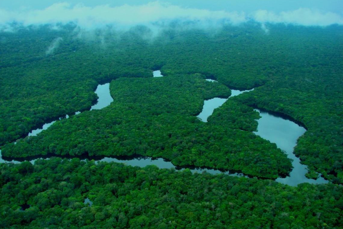 Brasil tem redução dos alertas de desmatamento na Amazônia e no Cerrado