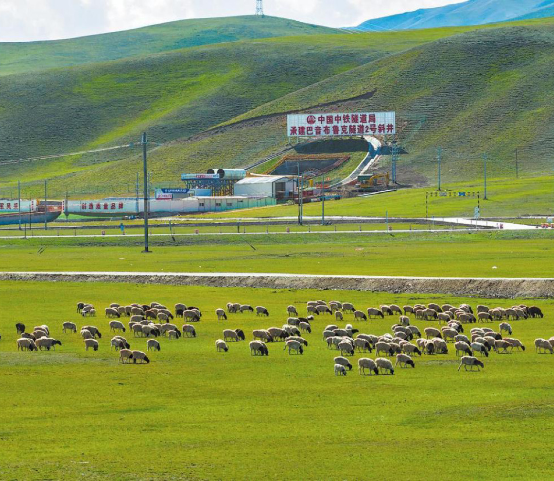 China fortalecerá proteção ecológica de ecossistemas mais resilientes até 2030