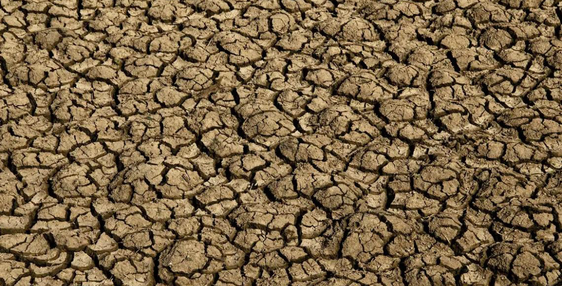 Desertificação no Brasil ameaça segurança hídrica e alimentar
