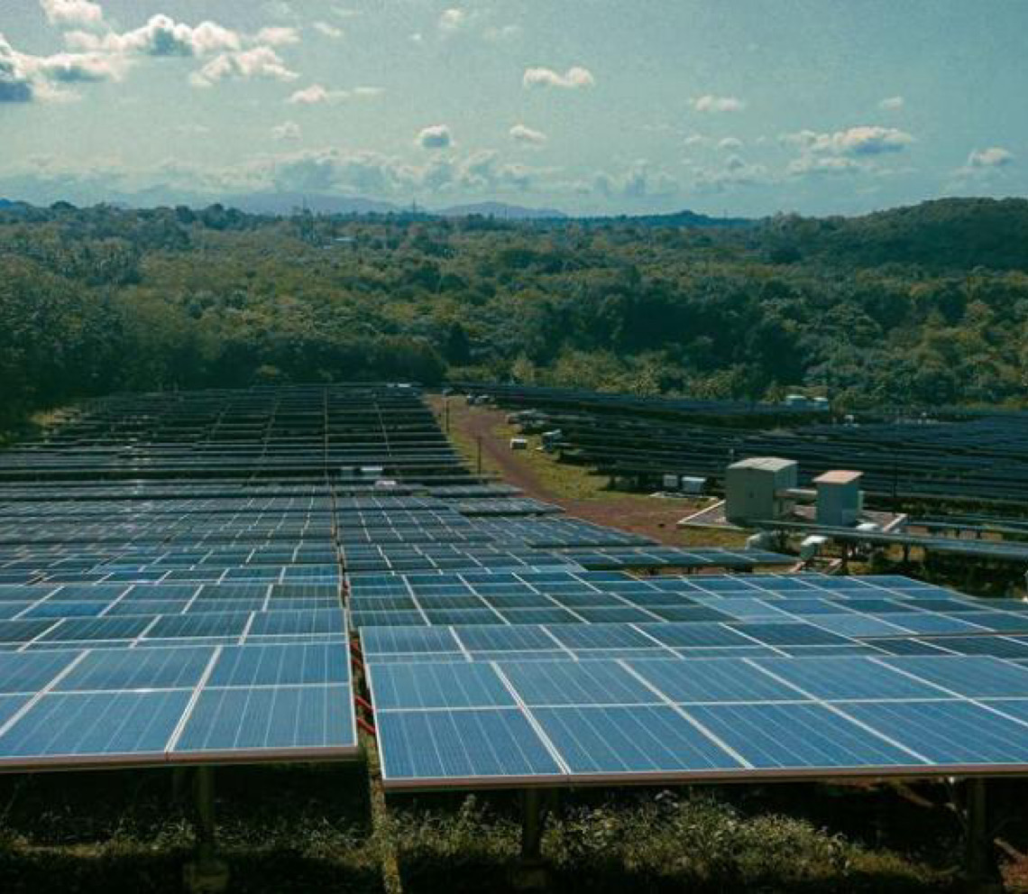 ONU busca convergência entre transição energética e restauração de terras
