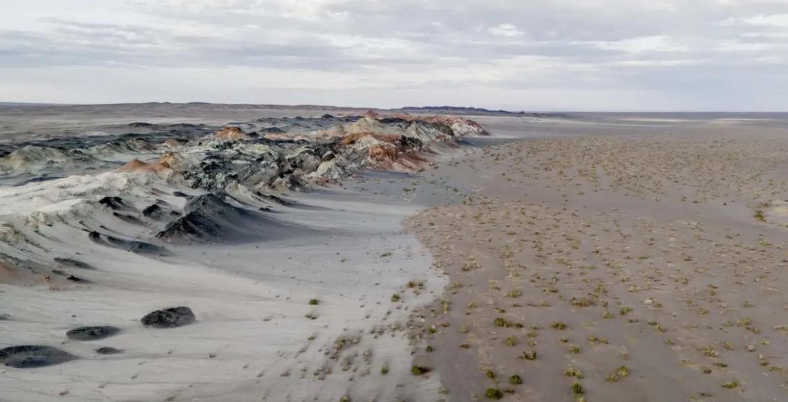 Fungos podem restaurar terras degradadas e combater crise climática