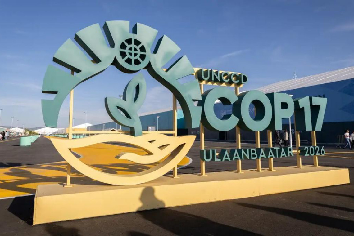 Estados do Nordeste brasileiro tentam atrair investimentos para Caatinga na COP17