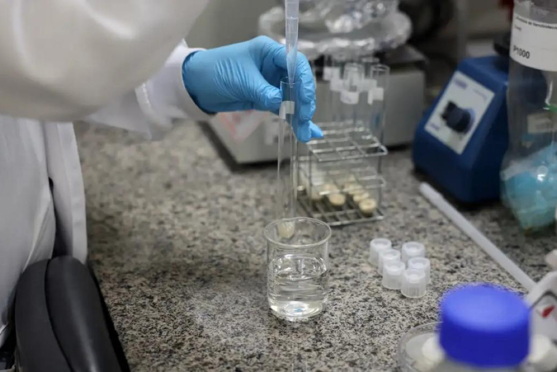 SBPC convida candidatos a governador a se comprometerem com a Ciência, Tecnologia e Inovação