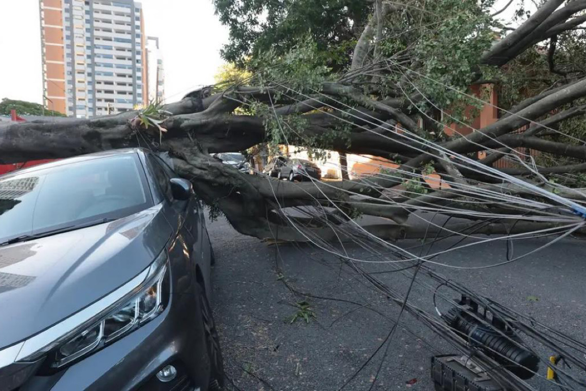 Respostas à crise climática exigem inovação, defende setor elétrico brasileiro