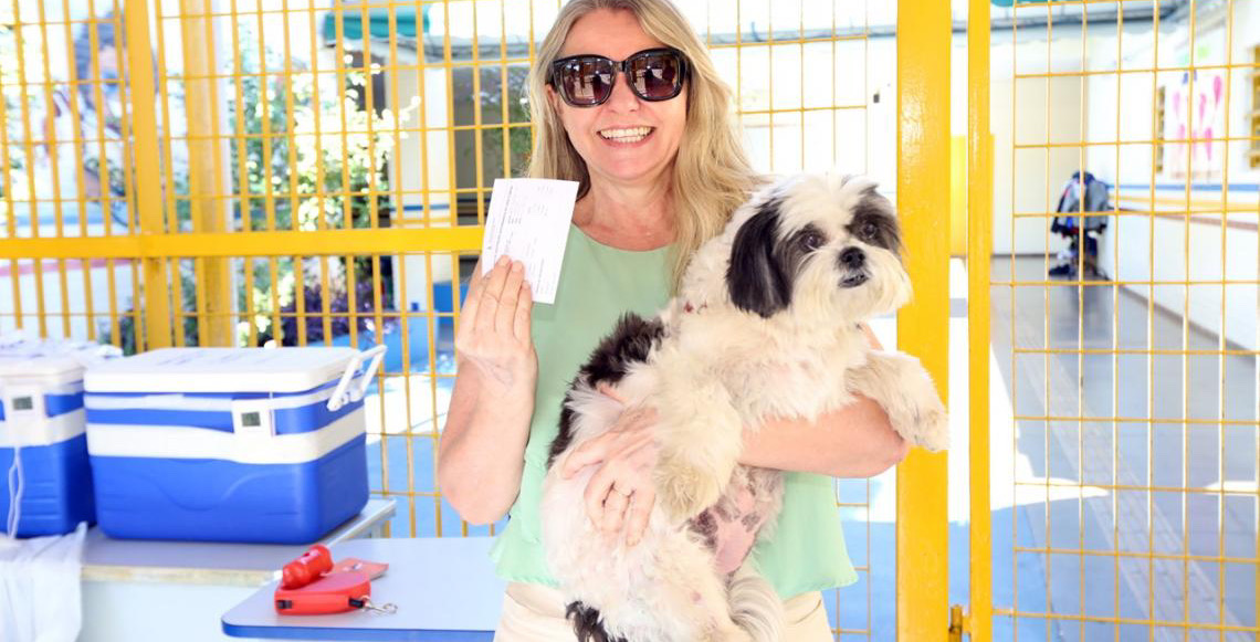Vacinação de cães e gatos contra a raiva pode ser feita de segunda a sexta-feira