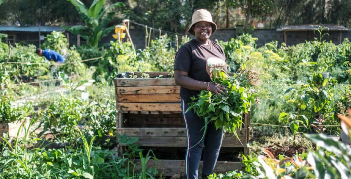Horticultura global cresce, mas falha em nutrir populações, setor movimenta US$ 1,4 trilhão