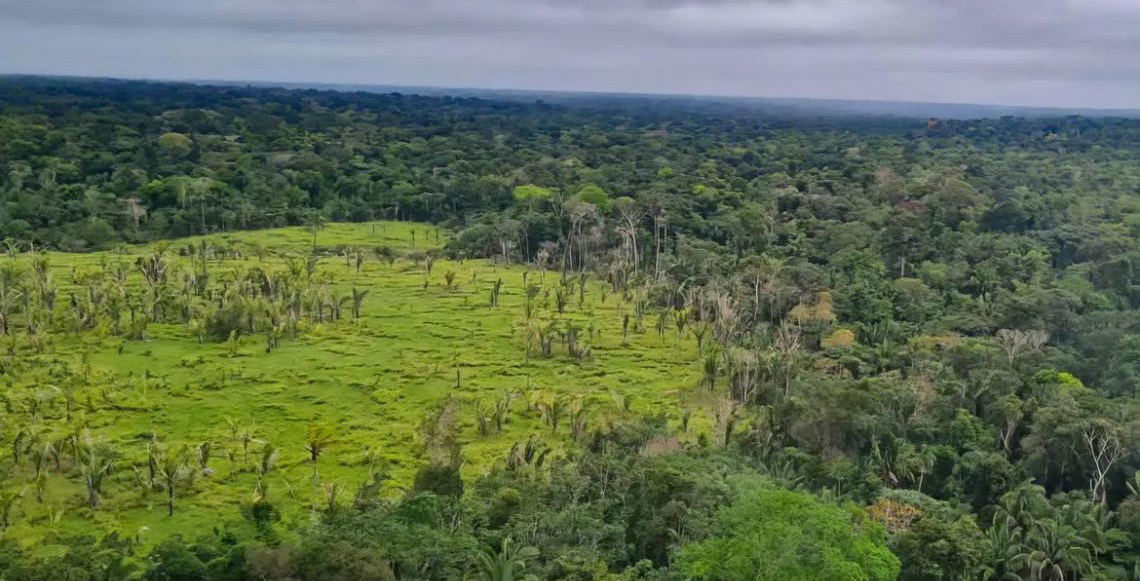 Imazon aponta desmatamento zero em 60% de terras indígenas na Amazônia
