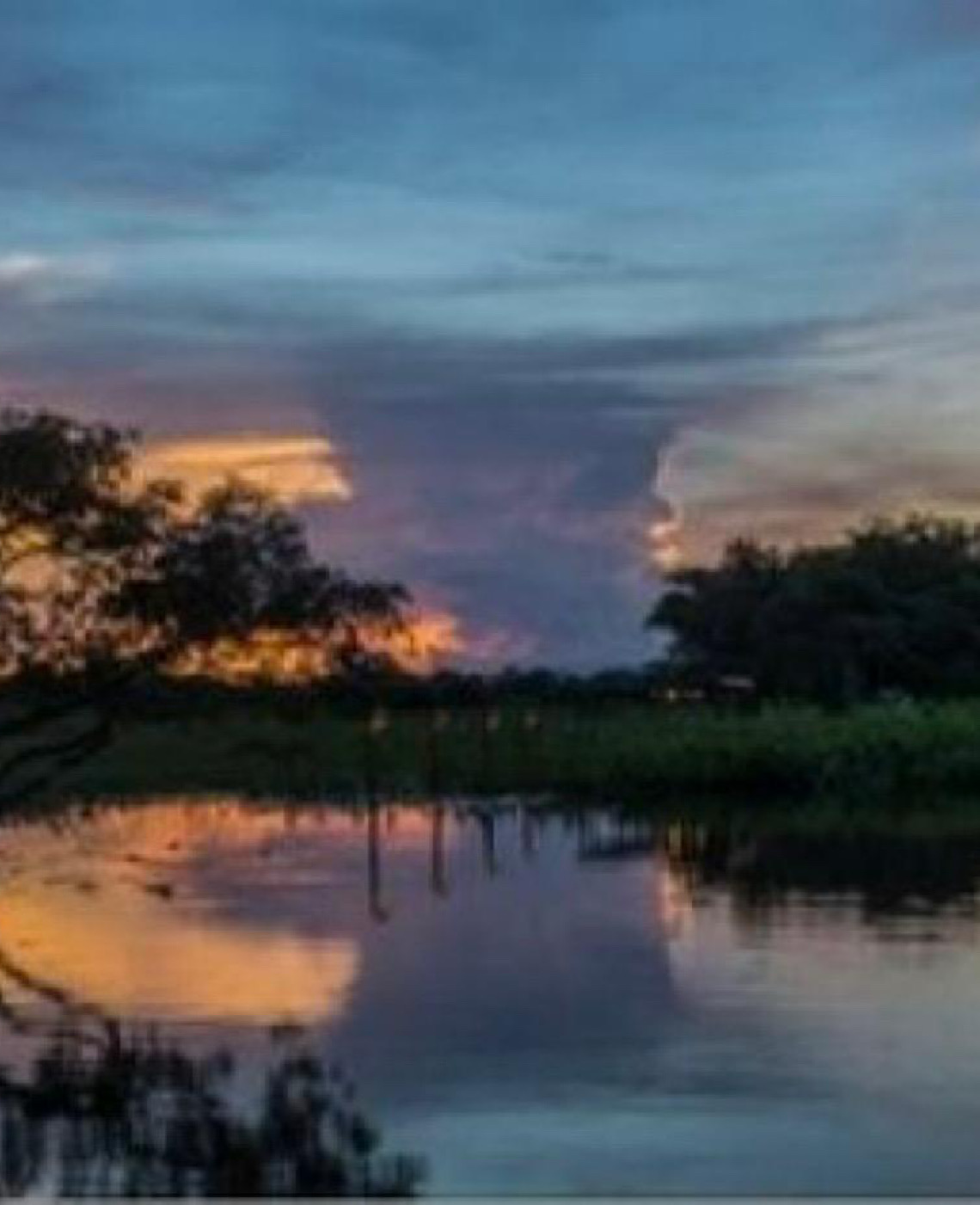 Pantanal combina natureza e cultura no Mato Grosso e no Mato Grosso do Sul