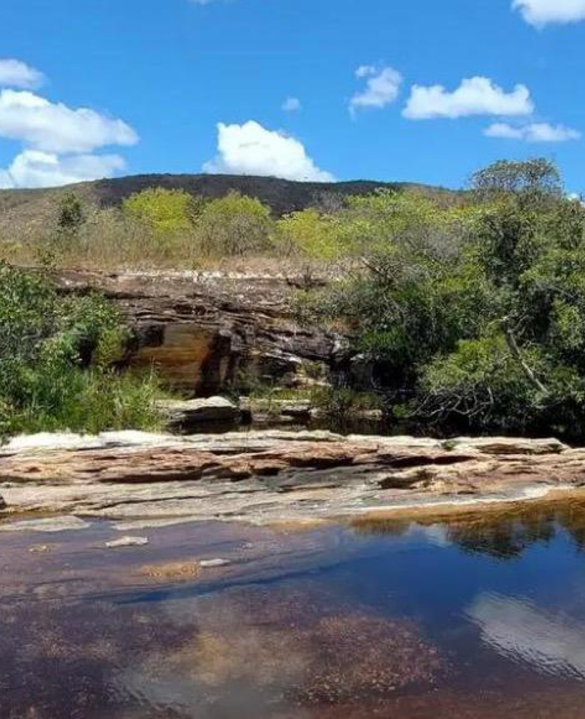 No Pantanal; enfrentar mudanças climáticas depende de outros cinco biomas