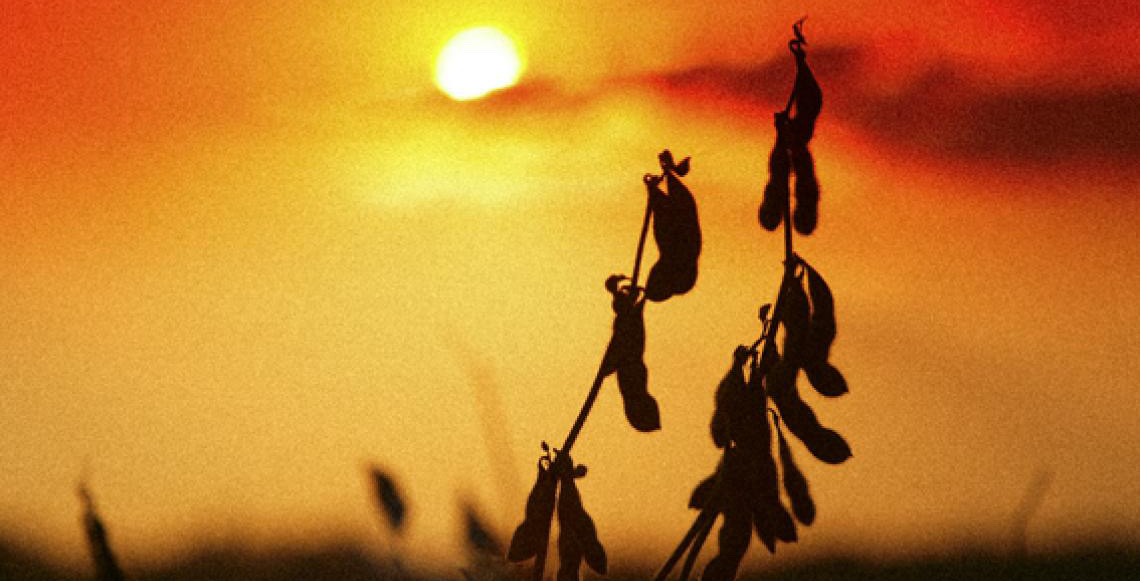 Em ano de El Niño, Embrapa apresenta 163 medidas para gestão de riscos climáticos no campo