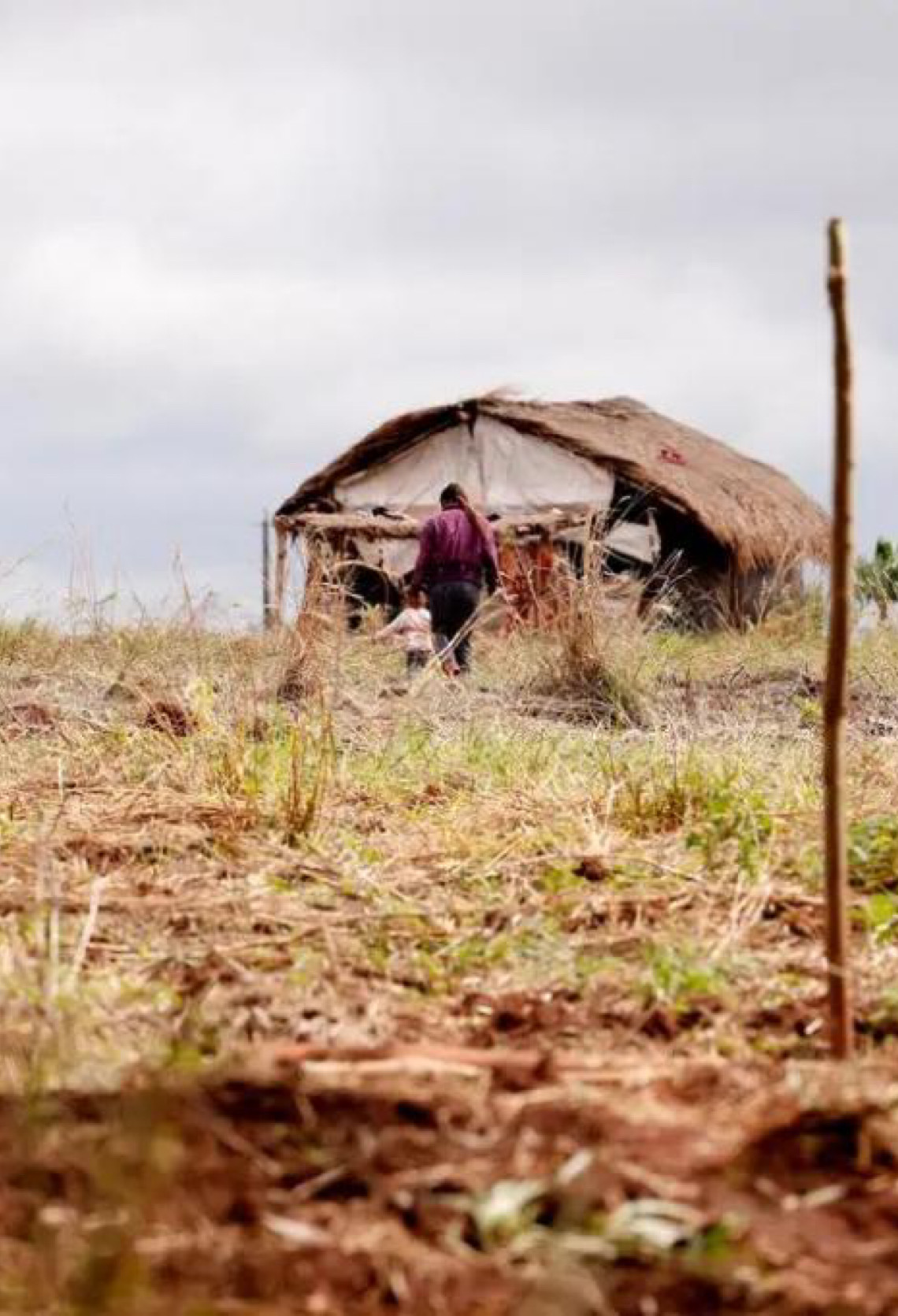 Cai número de pessoas assassinadas no campo, mas aumenta o de conflitos no Brasil
