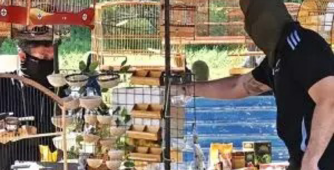 Ibama apreende 510 aves e leva 27 pessoas à polícia por tráfico de fauna silvestre no PE