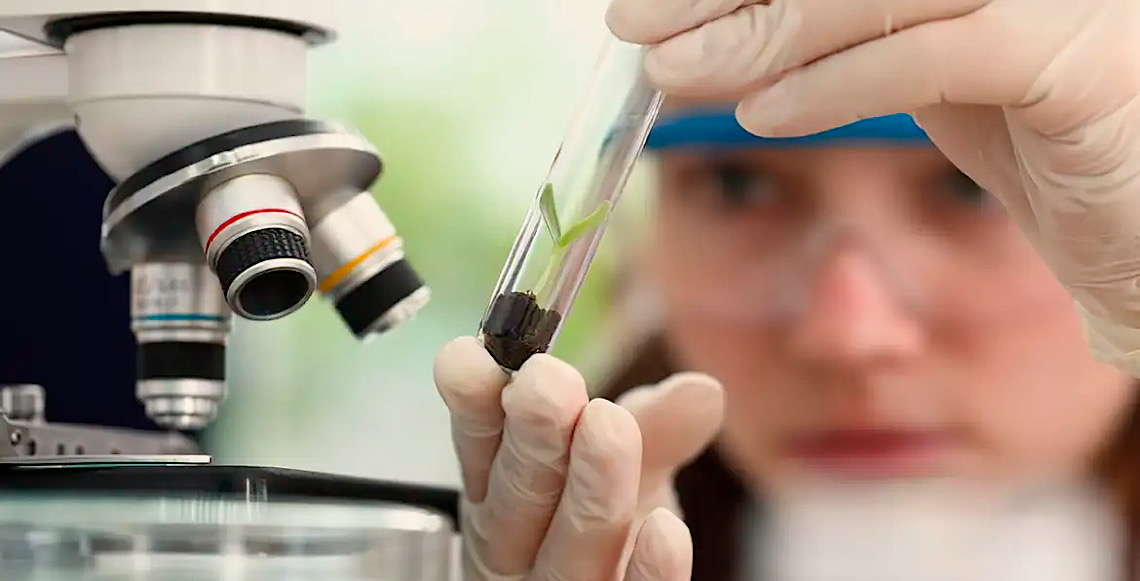 Prêmio para mulheres e meninas cientistas abre inscrições até outubro 