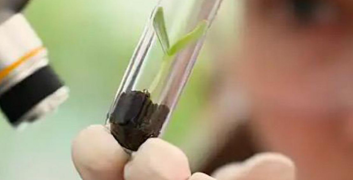 Prêmio para mulheres e meninas que querem seguir carreira de cientistas abre inscrições até outubro 