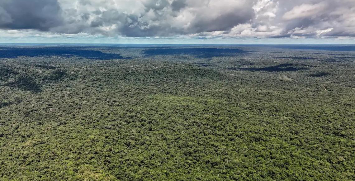 Devastação na Amazônia pode quebrar maior 