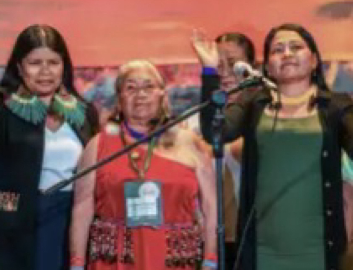 Mulheres indígenas reivindicam protagonismo como guardiãs da Amazônia 