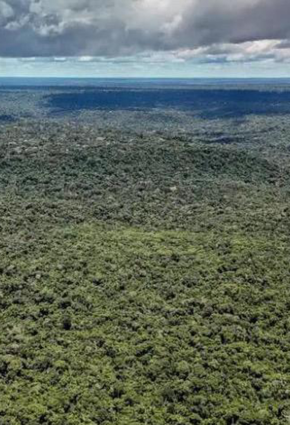 Devastação na Amazônia pode quebrar maior 