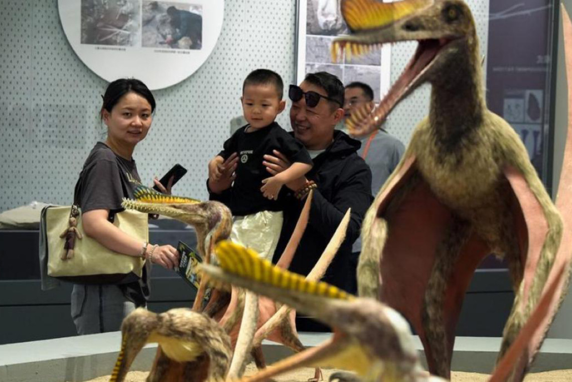 Primeiro museu do mundo dedicado a répteis pré-históricos é inaugurado em Xinjiang
