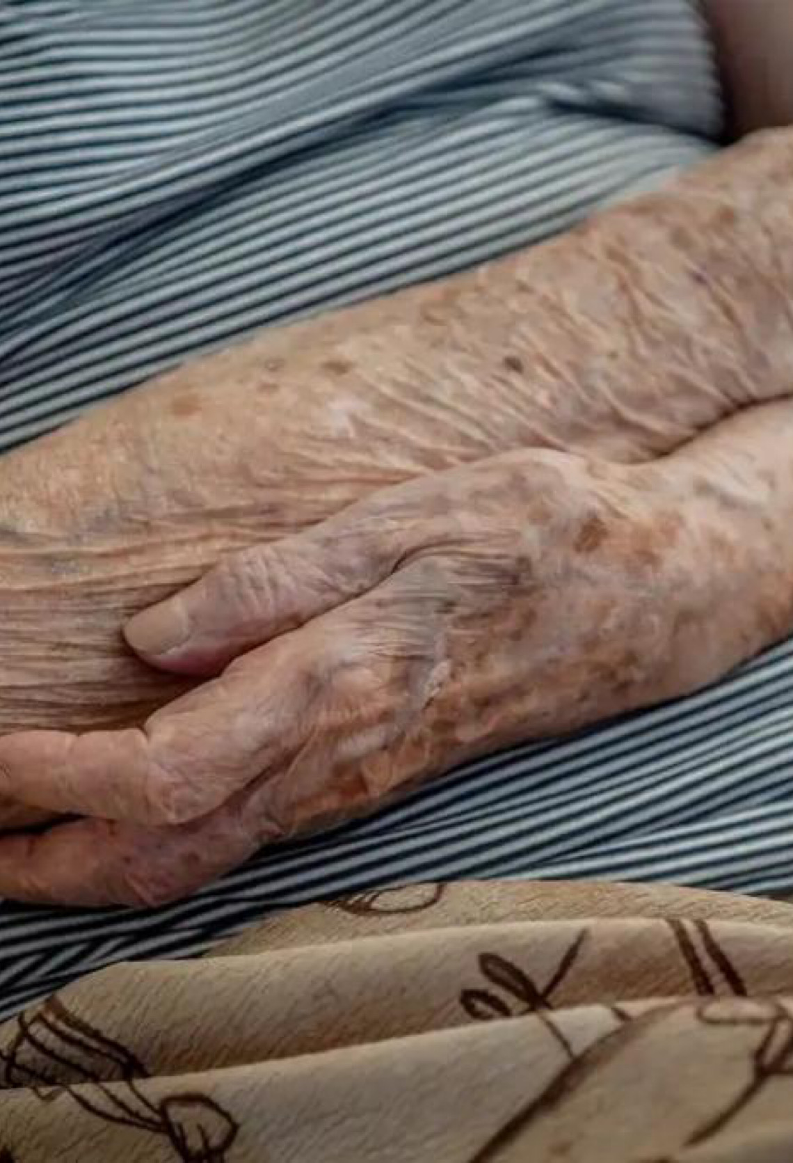 Número de lares com idosos em insegurança alimentar no Brasil cai em dois anos