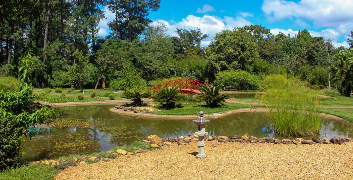 Descubra as riquezas do Cerrado no Jardim Botânico de Brasília, no Distrito Federal