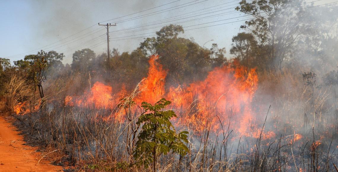 Saiba como agir caso um incêndio florestal se aproxime de residência, não tente apagar o fogo