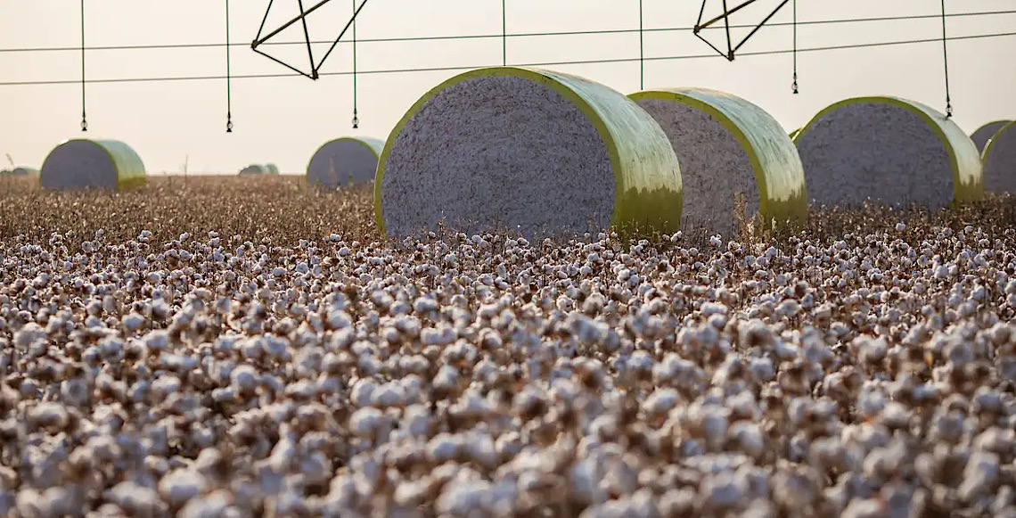 Entenda mudança no mapa que tirou Sorriso do topo da produção agrícola 