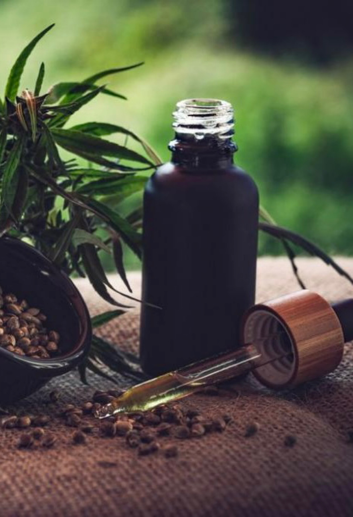 Para associações, normas ainda deixam pontos em aberto sobre cannabis medicinal
