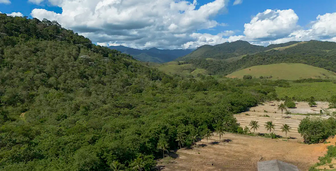 Agricultura ganha 11 milhões de hectares em 41 anos na Mata Atlântica 