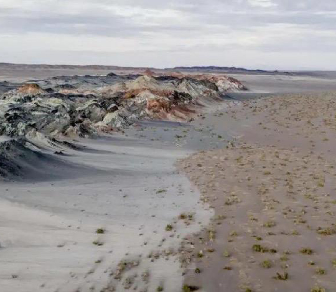 Fungos podem restaurar terras degradadas e combater crise climática