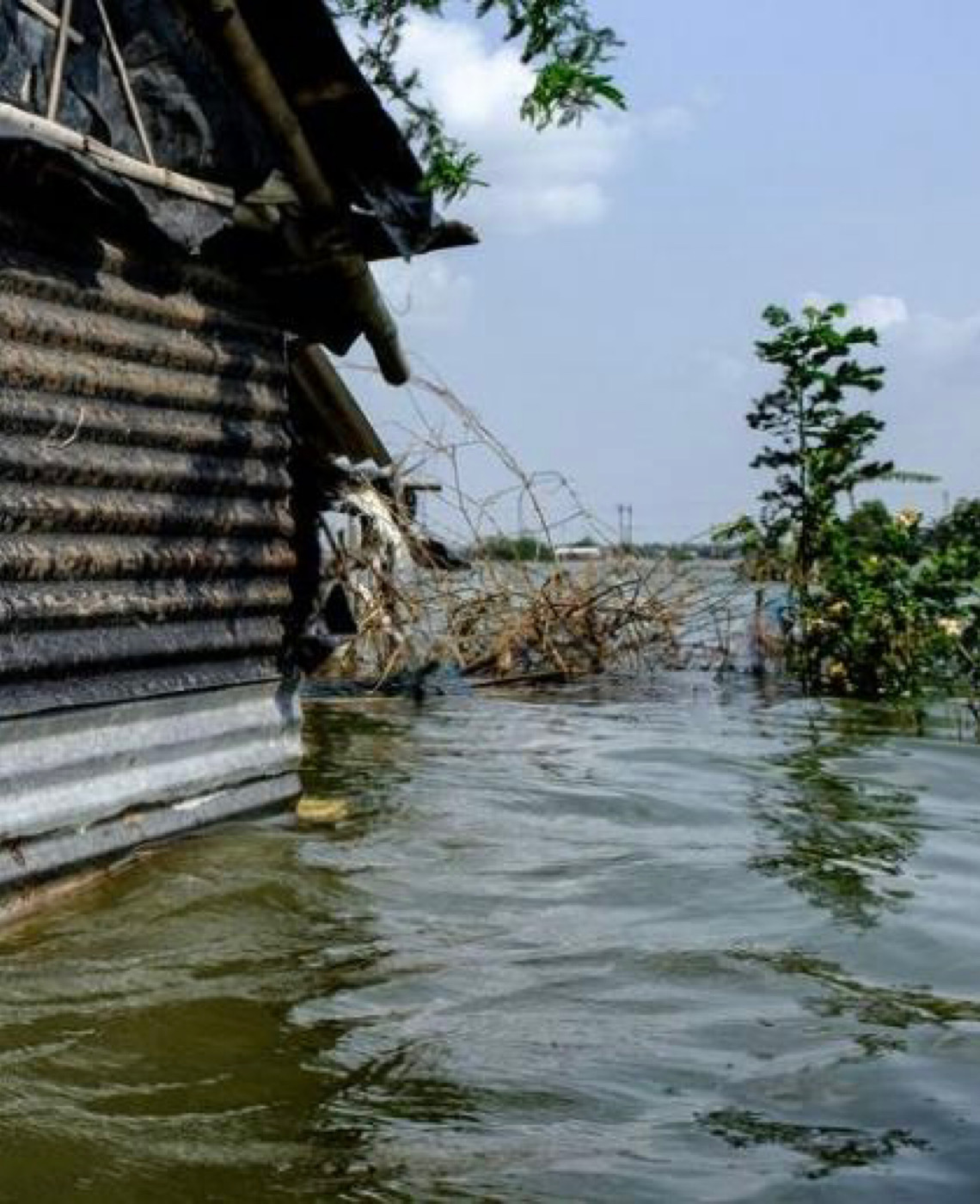 Entenda: 5 ameaças existenciais causadas pelo aumento do nível do mar