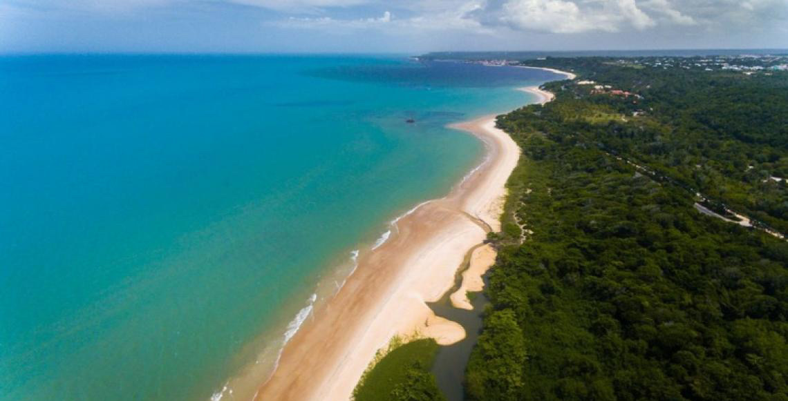 Costa do Descobrimento: Patrimônio Mundial protege um dos trechos mais ricos da Mata Atlântica