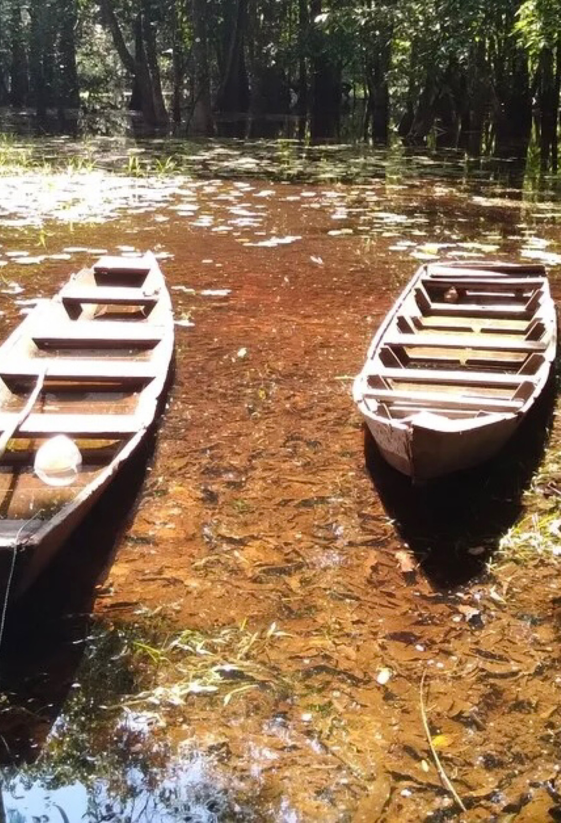 Trilha Amazônia Atlântica impulsiona ecoturismo no Pará, em corredor que liga Belém à Serra do Piriá