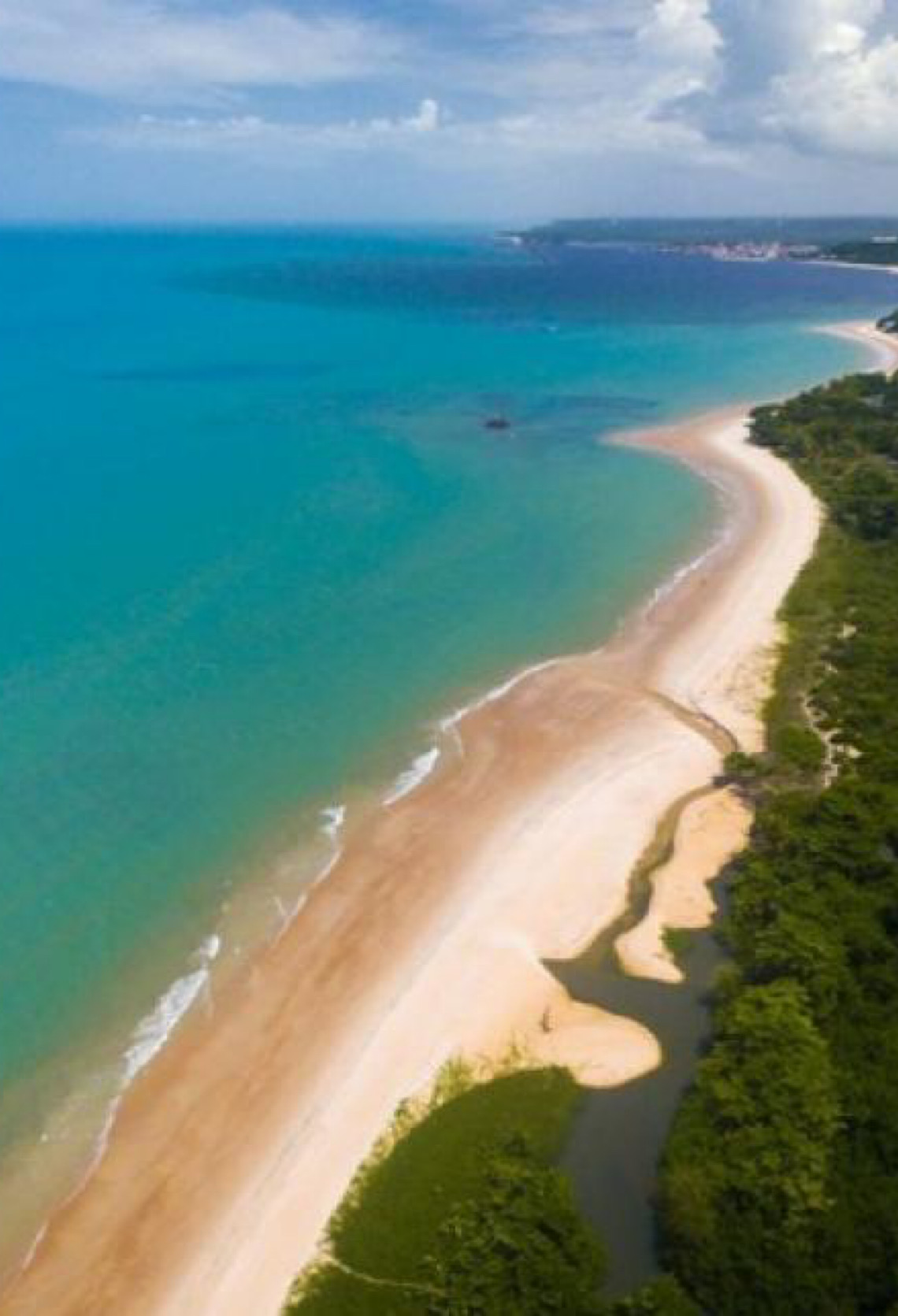 Costa do Descobrimento: Patrimônio Mundial protege um dos trechos mais ricos da Mata Atlântica