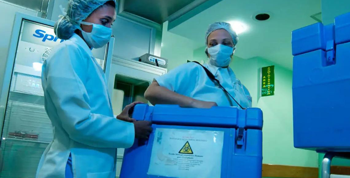 Setembro Verde: Idosos também podem ser doadores vivos de órgãos