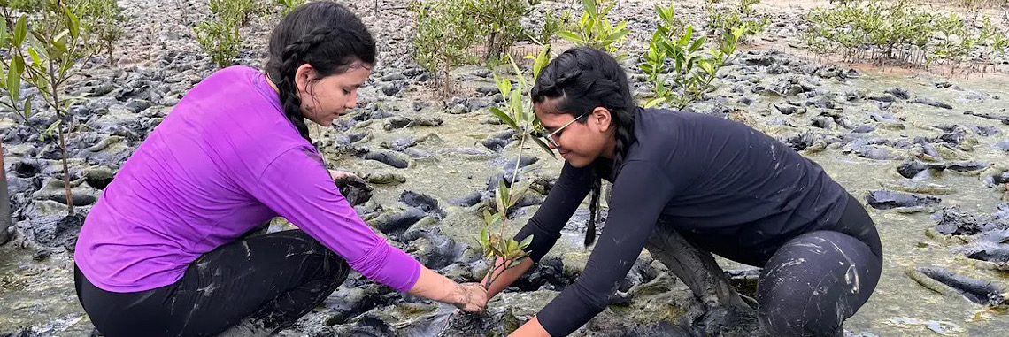 Inscrição de trabalhos no Fórum de Educação Ambiental termina dia 30 de setembro